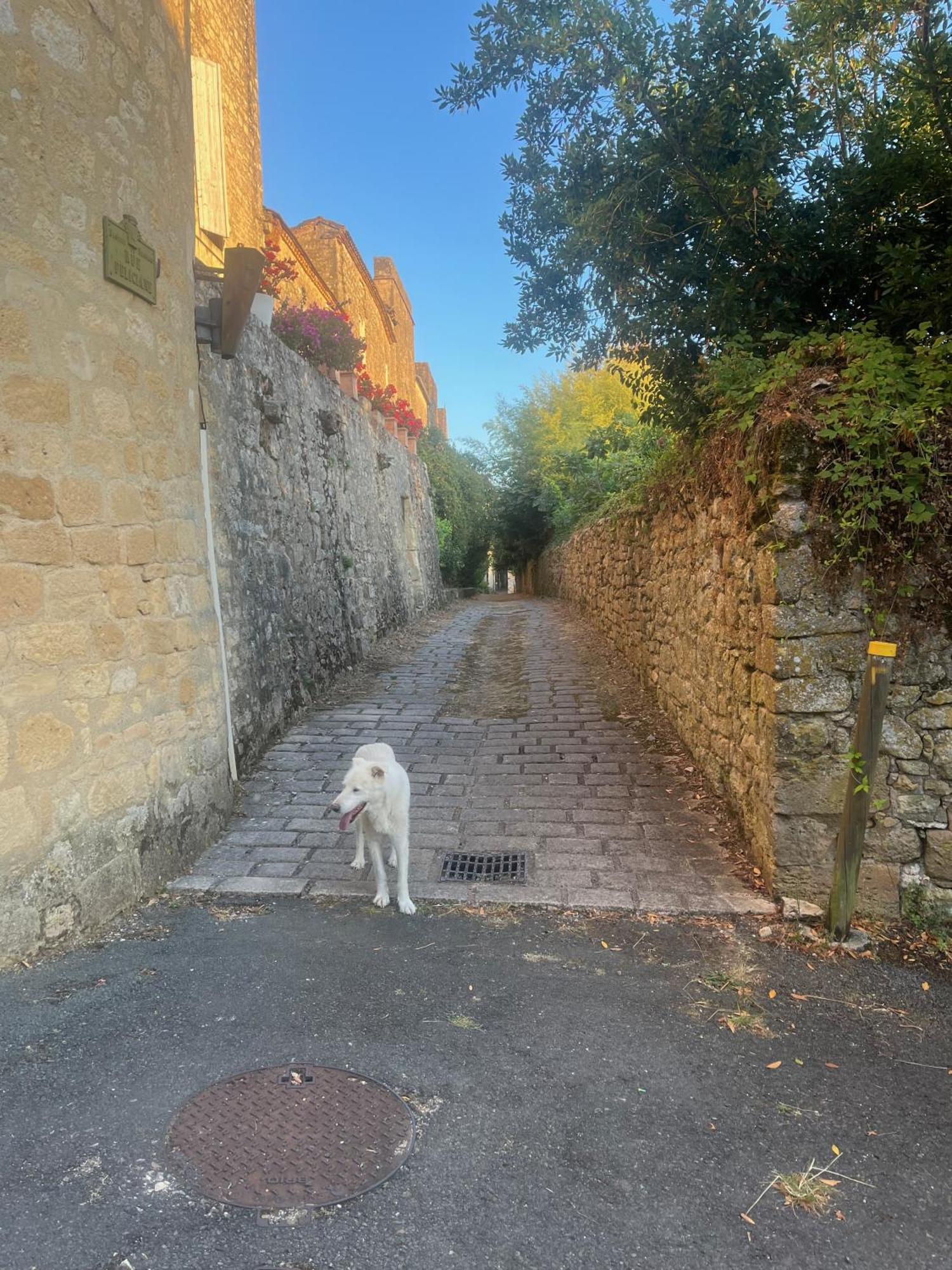 1 Rue Pasquet - 2 Double Rooms In The Main House Beaumont-du-Périgord 외부 사진
